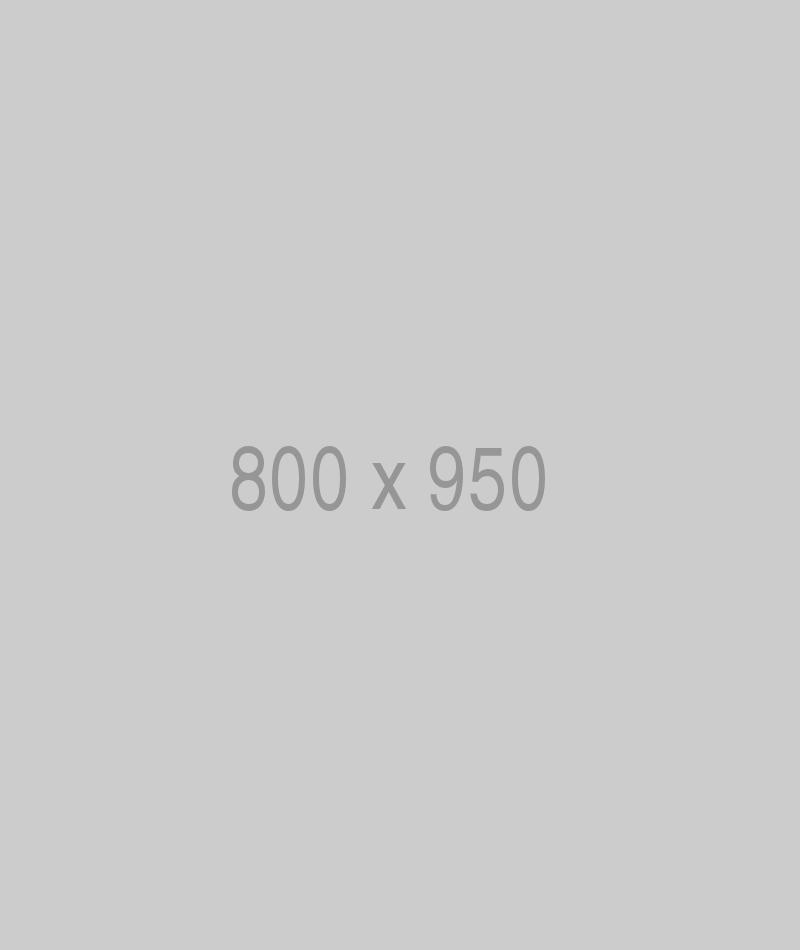 Litho 800x950 Ph.jpg